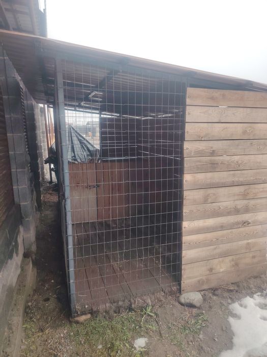 Ит қамайтын үйшік 2-бөлек