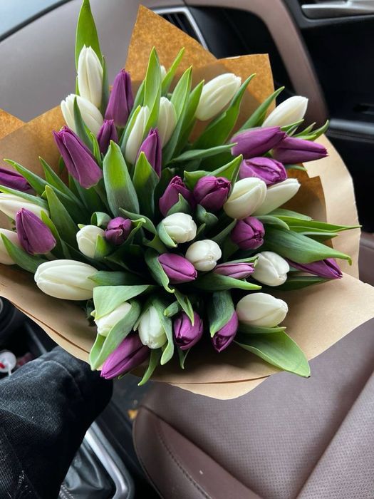 Тюльпаны крупные в Темиртау