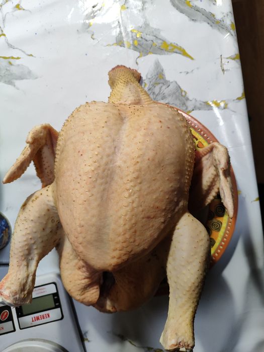 Бройлеры домашние