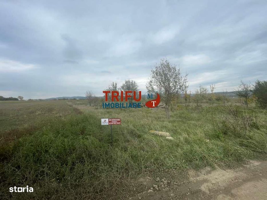 Teren Intravilan în Alba Iulia, pretabil locuinte