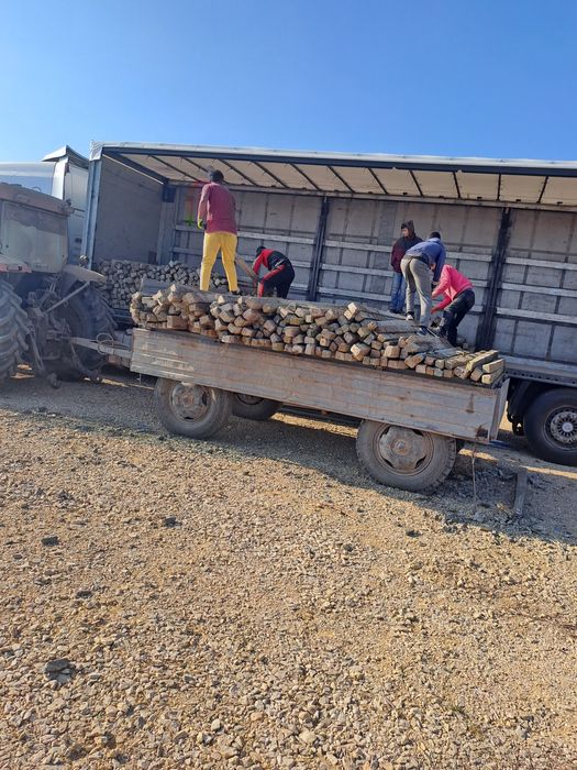 Șpalieri de beton și Șpalieri metalici de vânzare