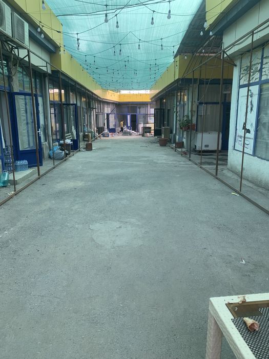 Солнце защитная сетка