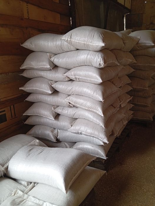 Зерно отходы (зерносмесь)