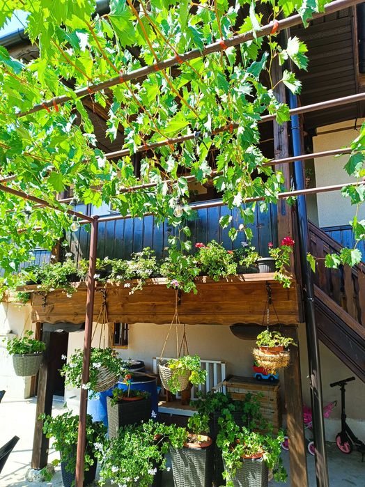 Продава се Къща в с. Българка, Област Силистра - 150 кв.м за 612 €/кв.м - Снимка #4