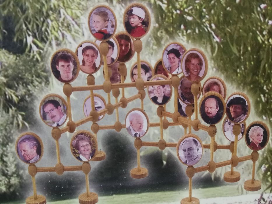 Родословно дърво с дървени елементи