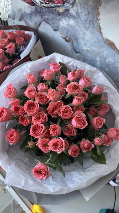 Свежие  1 день  очень красивые нежные