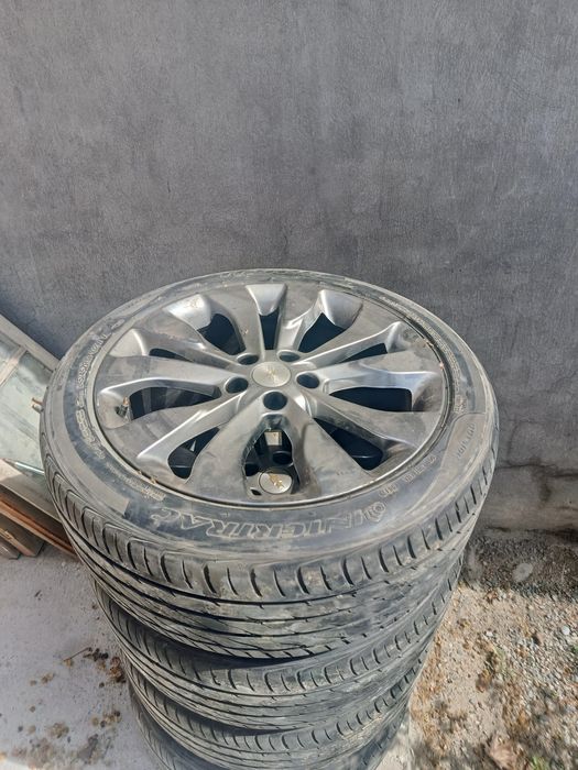 Malibu diska baloni bn kelishtirib beramiz