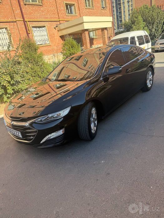 Malibu 2 premier