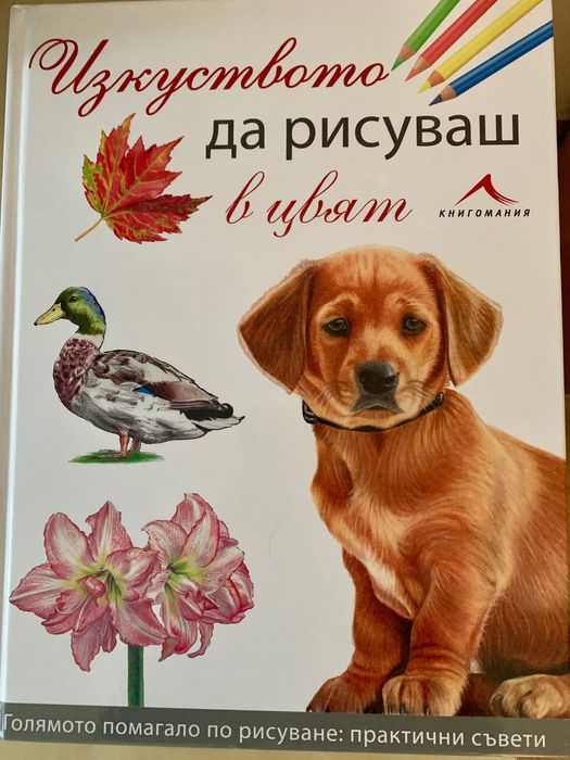 Помагало по рисуване