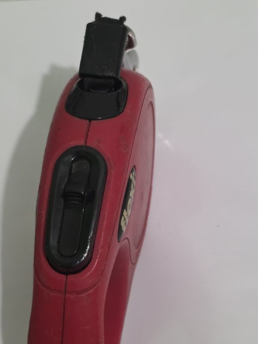 Повод за домашен любимец