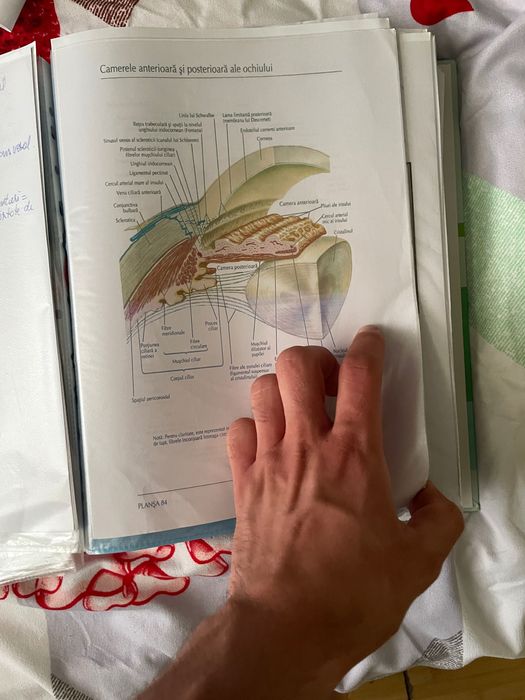 Materiale admitere medicina