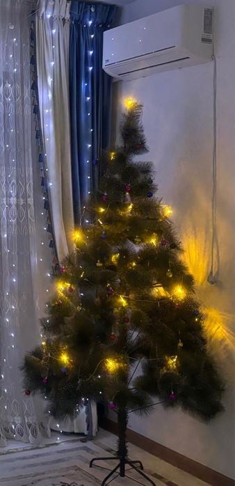 Шырша/Ёлка сатылады. 210м