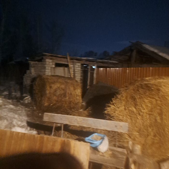 Продам сено крс,,,