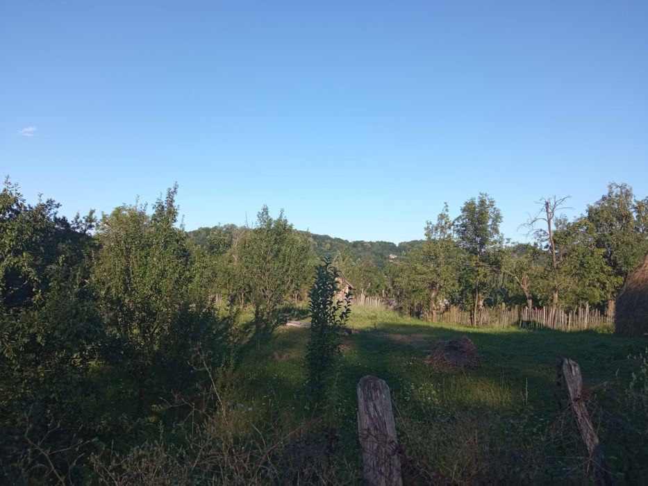 Teren intravilan 1000 mp