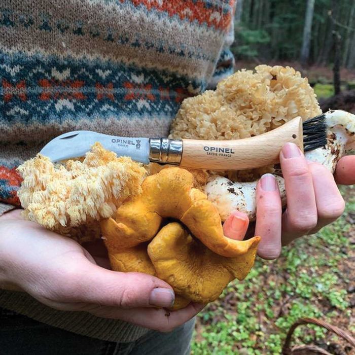 OPINEL нож за гъби ОПИНЕЛ N°08 Mushroom гъбарски нож с четка