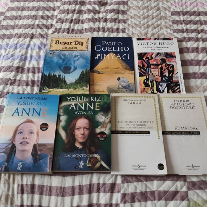 книги/манги на турецком.