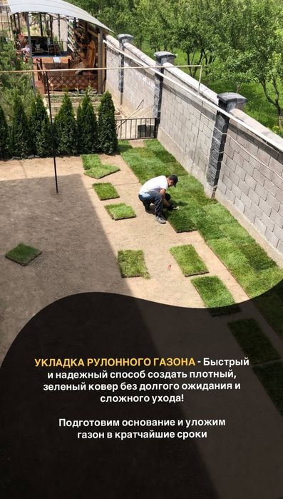 Газон посевной и рулонный