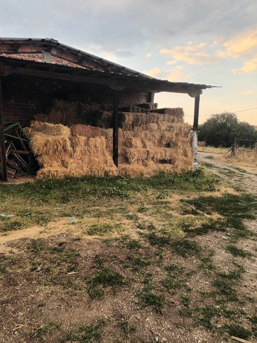 Продавам бали сено, бали сено и люцерна