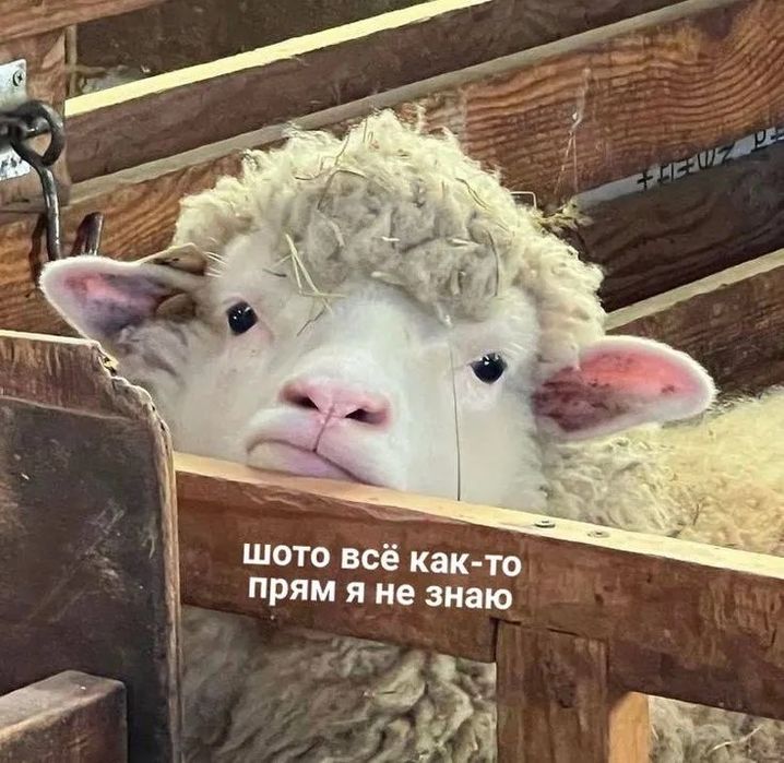 Пластиковое окно
