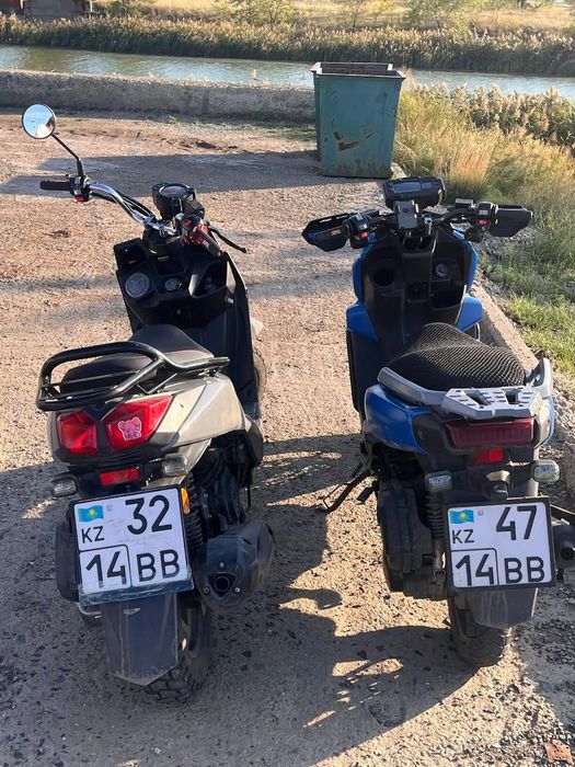 Момед самурай 1 поколение