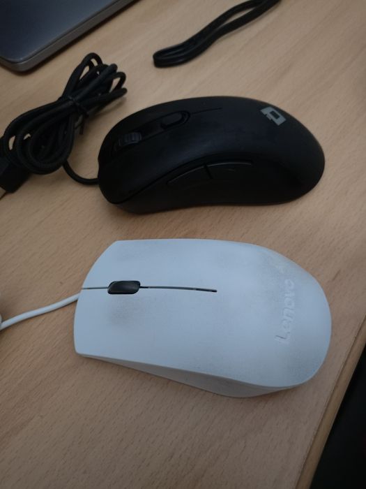 Продам две мышки по цене одной