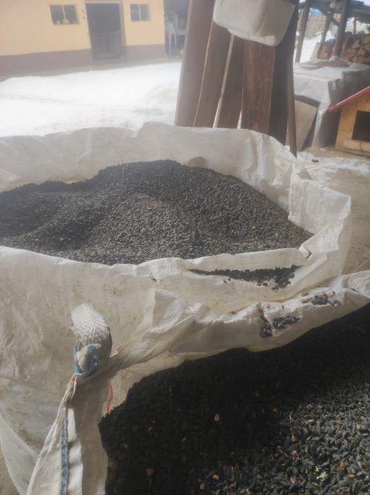 De Vânzare Floarea Soarelui