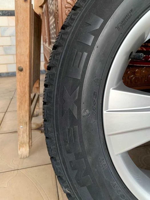 Nexen Balon diska bilan Qishgi