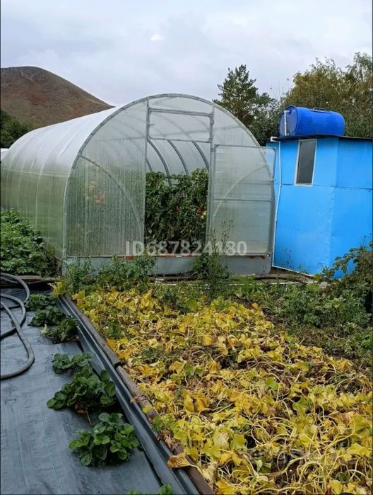 Продам дачу на Каучук 12 соток