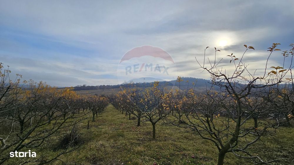 Teren extravilan 10,791mp Falticeni / Strada DJ209A, Opriseni
