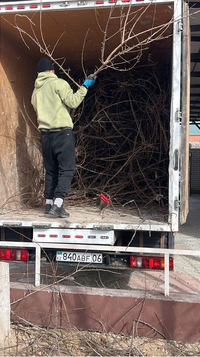 вывоз мусора | от 15000 тенге