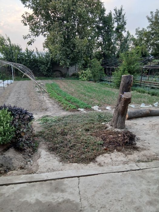 Toshkent tumani Xasanboy postdan o'tganda 3 sotix yer sotiladi