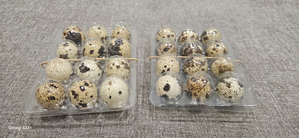 Пъдпъдъчи яйчица