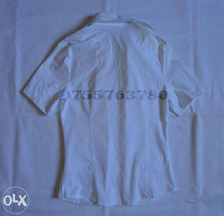 Camasa A/L/L/Y Group (36-S)