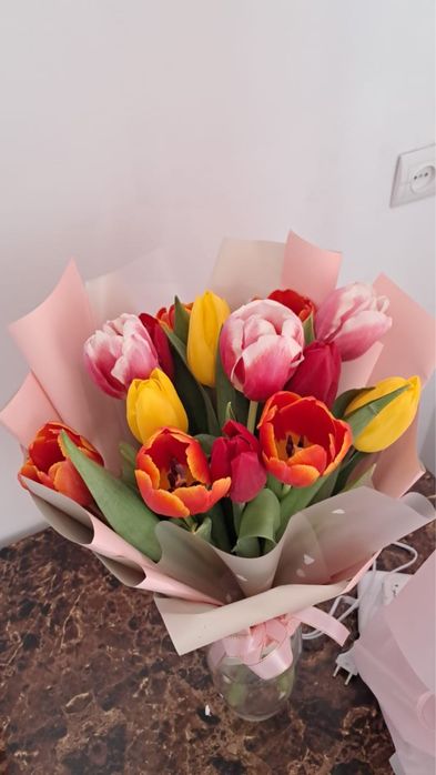 Цветы тюльпан 10500