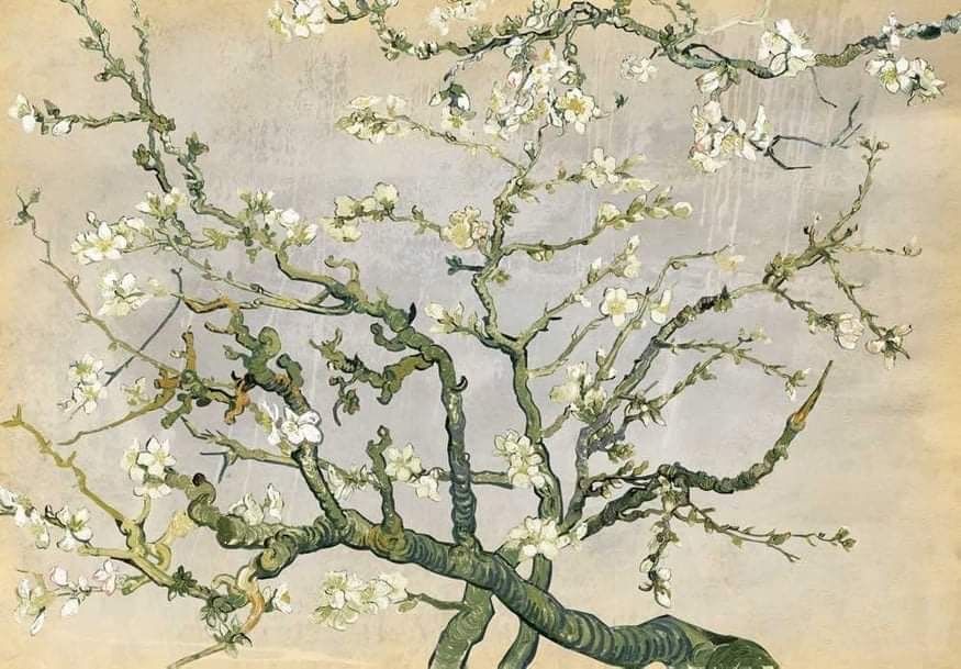Фототапет wall mural 26 almond blossom