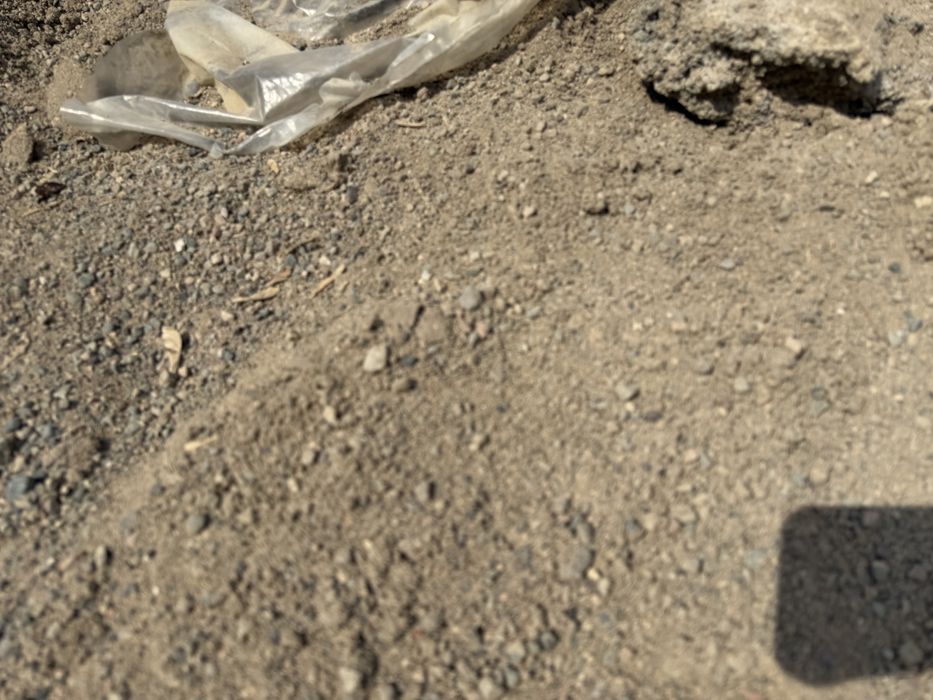 Отдадим отсев бесплатно. Самовывоз