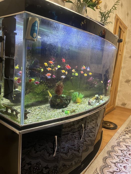 Akvarium 500 litr komplekt