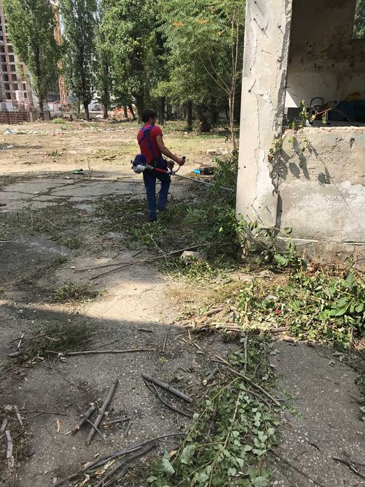 Curatare si defrisare ambrozie si vegetatie invaziva