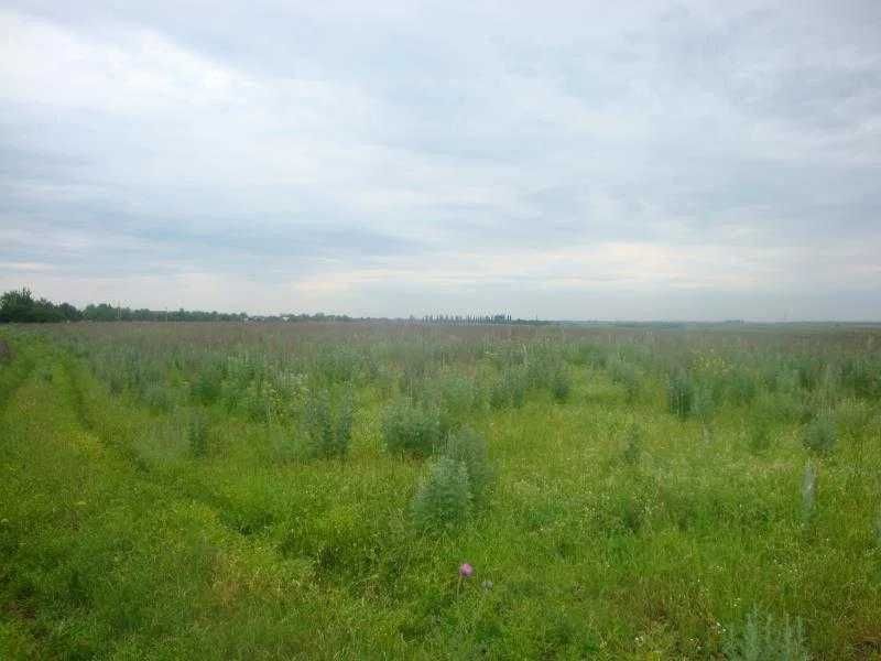 Земельный участок в аренду