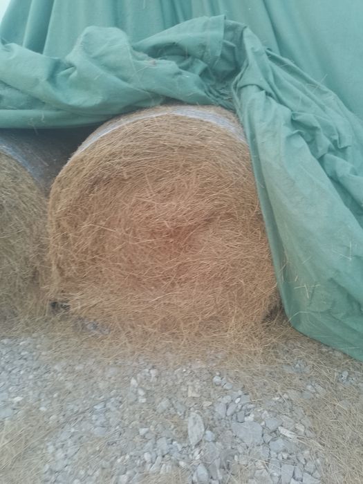 Vând baloți de fan