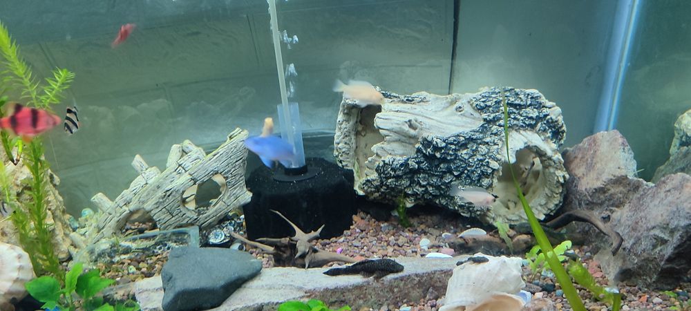 Продам аквариум комплект