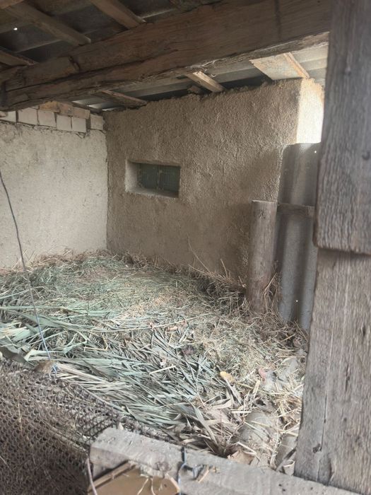 Малға арналған жем шөп