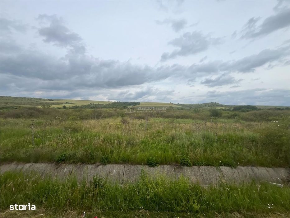 Lugoj, Teren 16.800 Mp., Cu deschidere  de 80 Ml., La Centura Ocolitoa