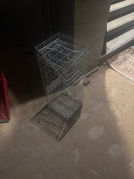 Ловушка для кошек