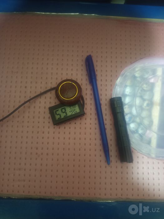 Inkubatr 100% ishlidi joja ochirilga 3.4 marta