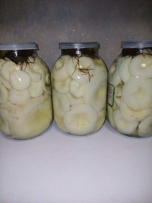 Грузди 2 литра 10 тыс