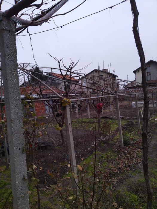 Ферми за оранжерия