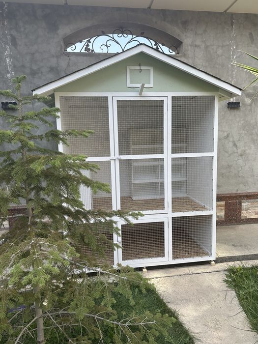 Эксклюзивный голубятник Каптар хонна