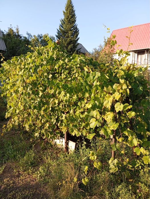 Продам дачу на Кожухово