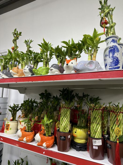 Бамбук в керамике